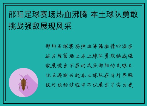 邵阳足球赛场热血沸腾 本土球队勇敢挑战强敌展现风采