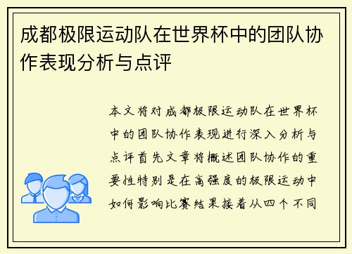 成都极限运动队在世界杯中的团队协作表现分析与点评